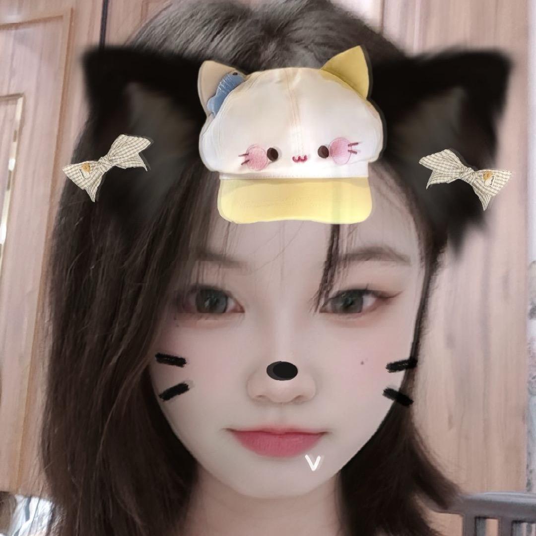 小张的数码店