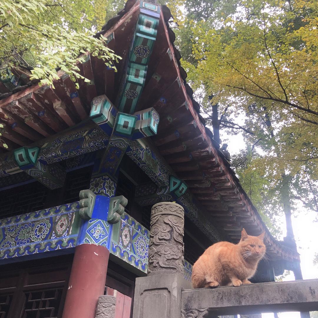 馋嘴美食小店