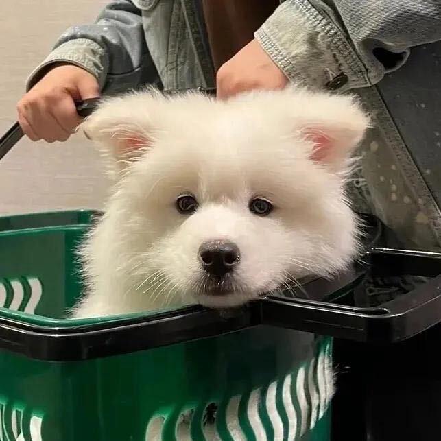 🌈 𝑺𝒖𝒏 🏍