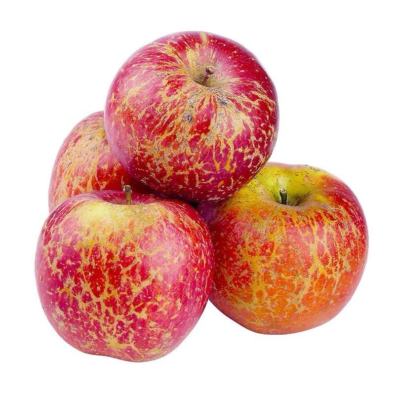 昭通冰糖心苹果源头基地直发
