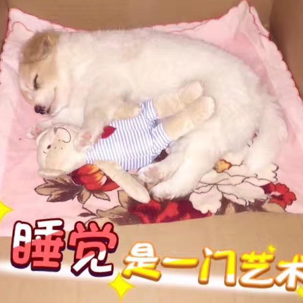 益弘