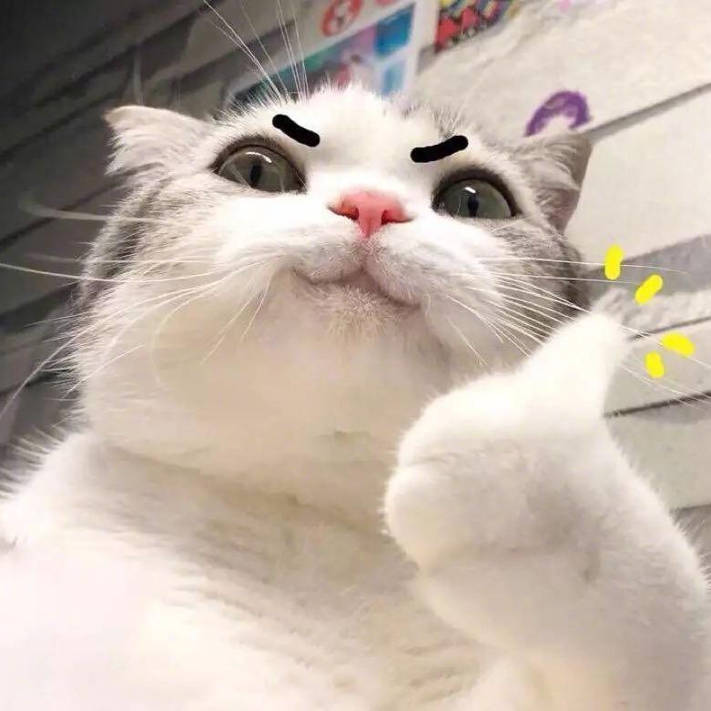 胡家庙烹鱼燕