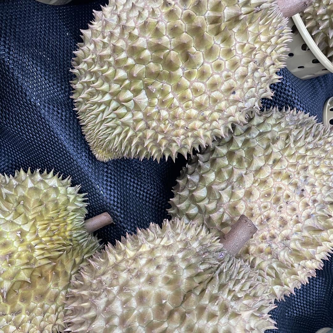芦溪县龙达果业店