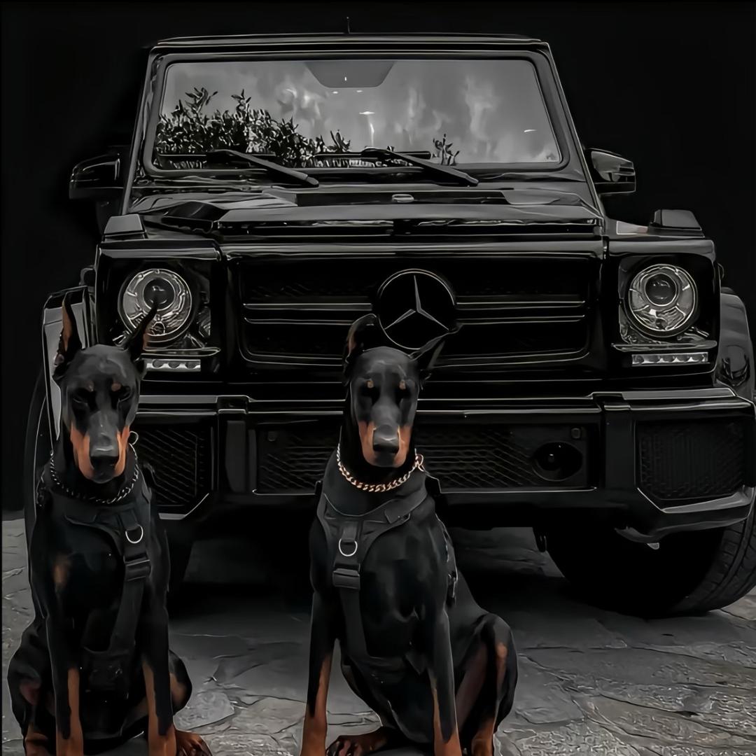 男星衣橱🌟👾