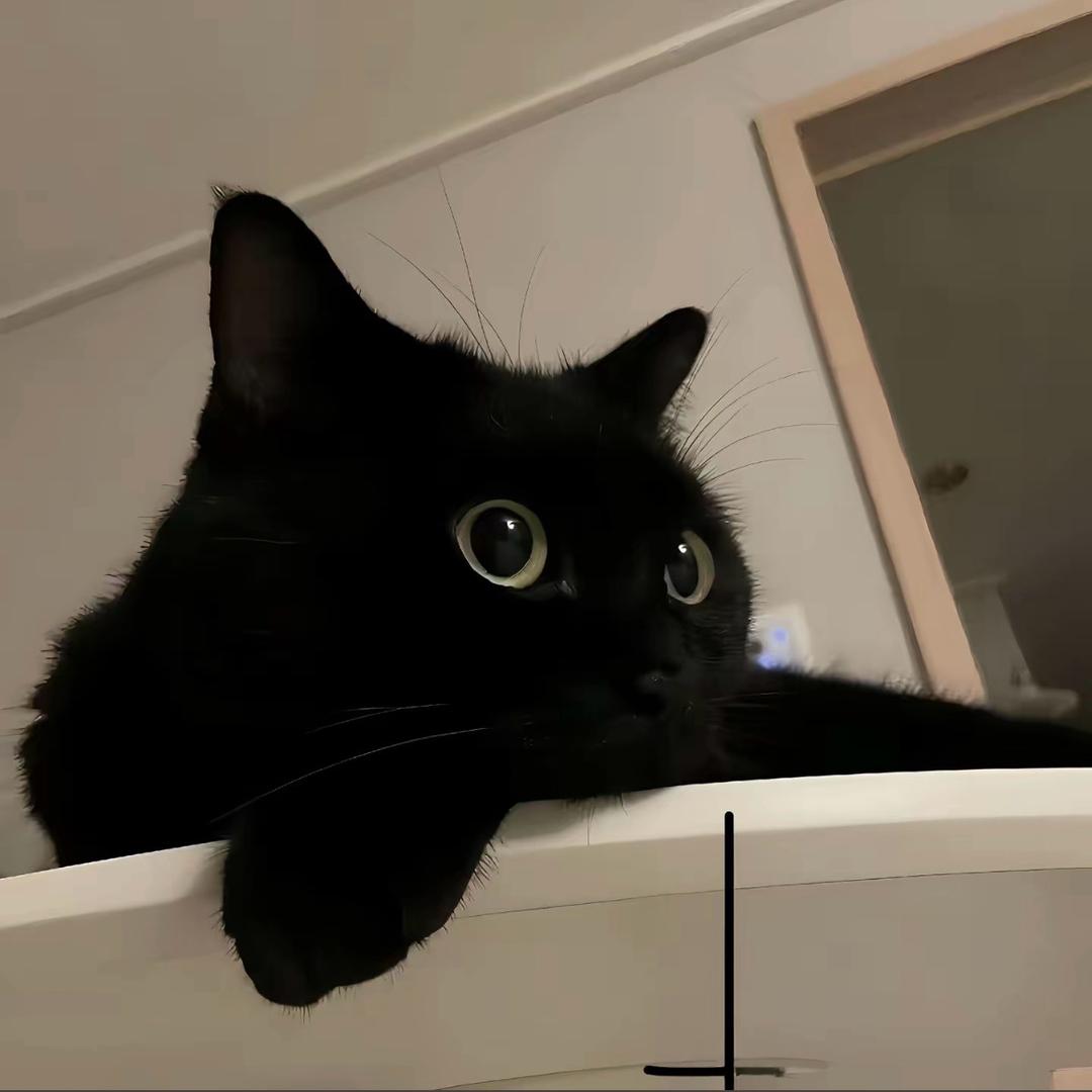 毕葳