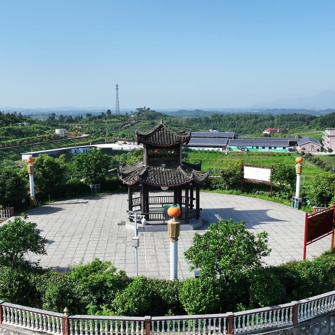 鼎达茶铺桔院
