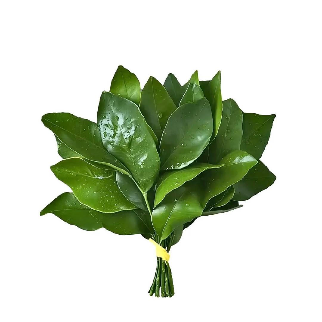 猫猫吃草莓