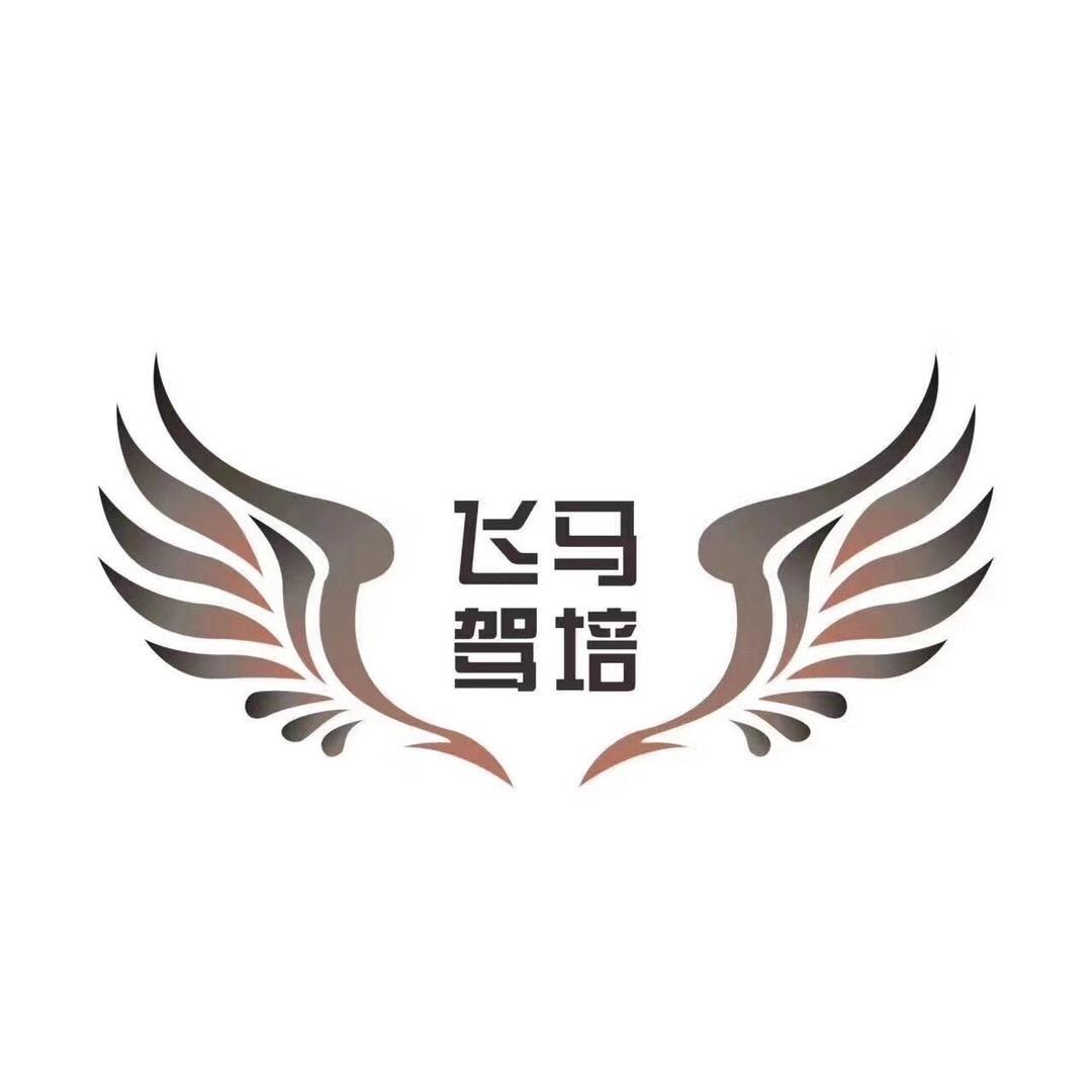 四会市飞马驾驶培训有限公司