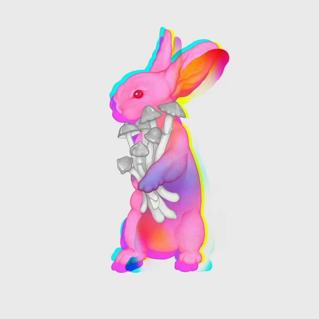 炸弹帆帆不是烦烦