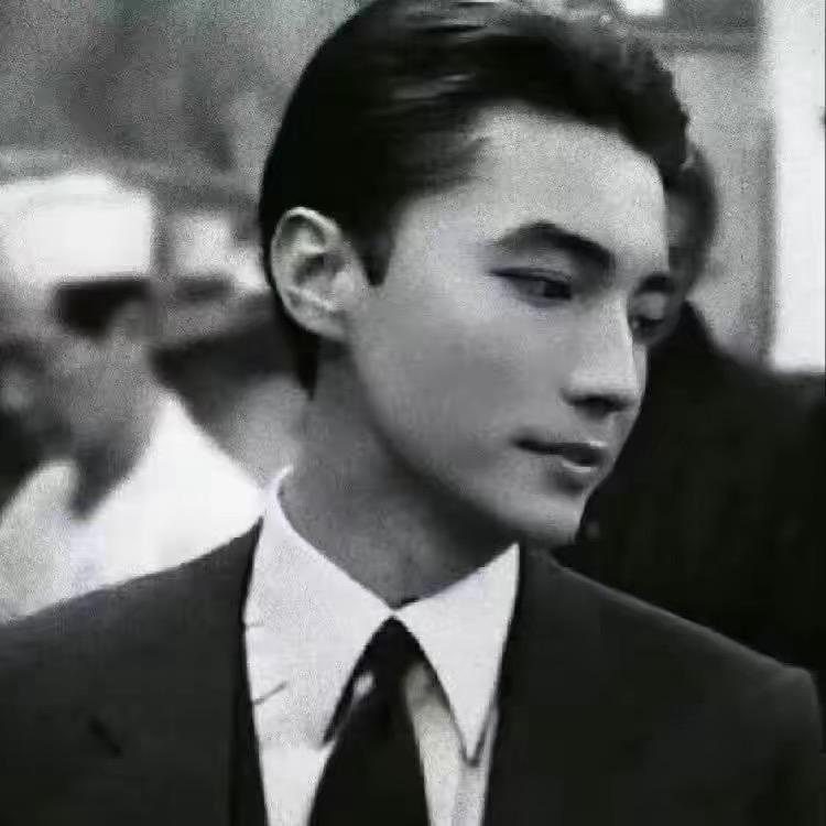 缇也Terra官方号