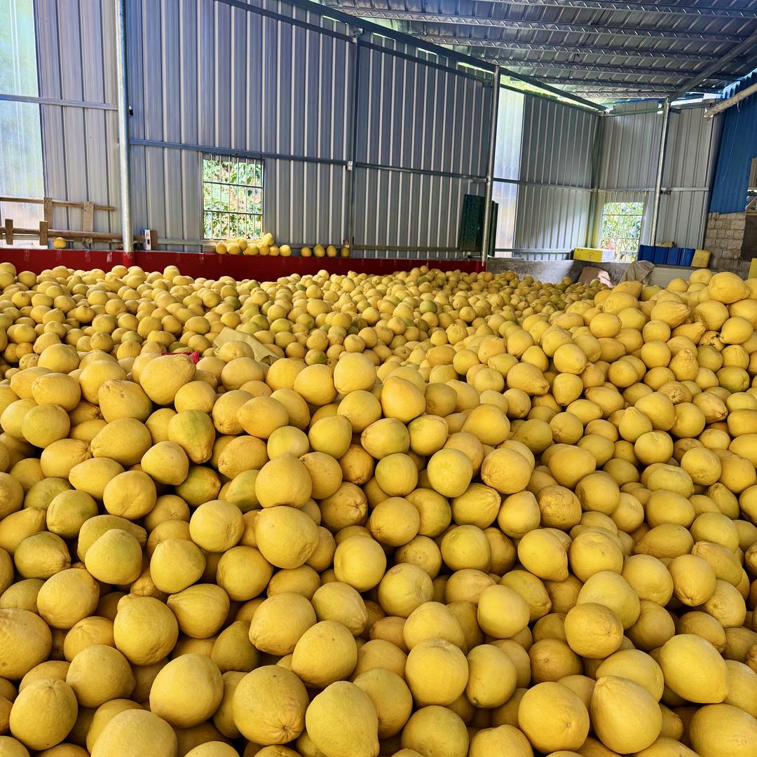 嘉林农副产品店