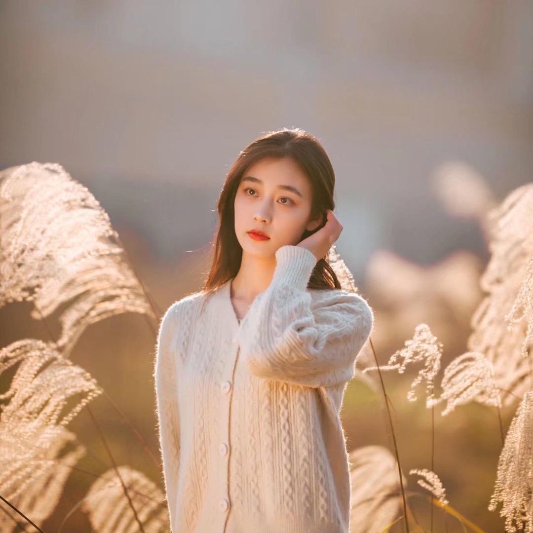 桐家晓月