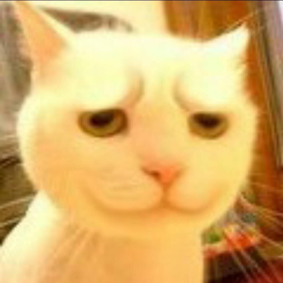 夜猫子、