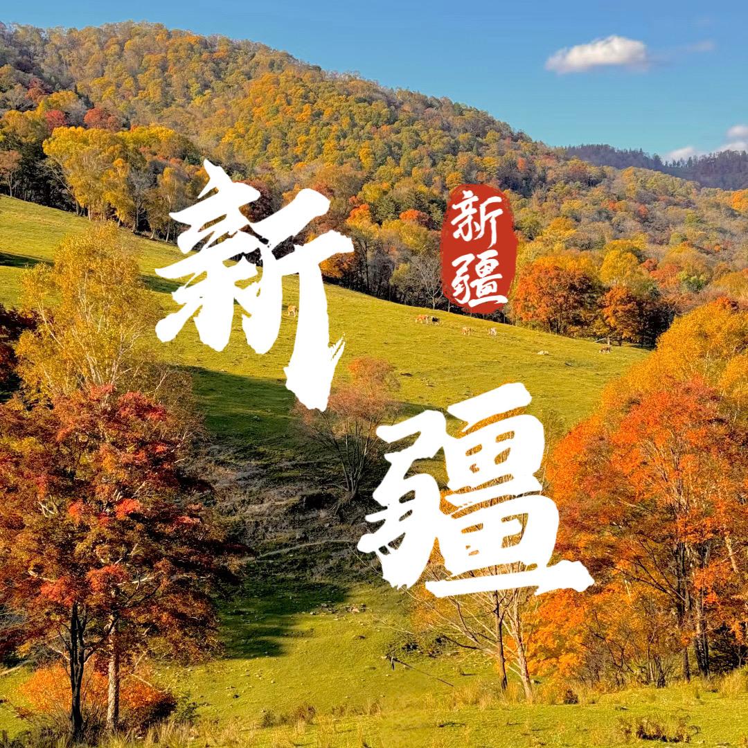 新疆大猫旅行社｜高奢纯玩小团