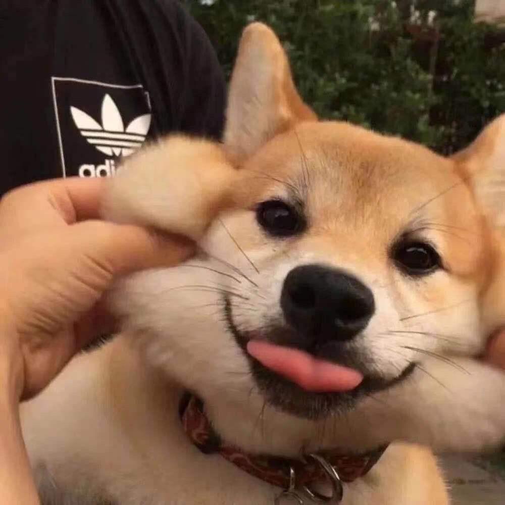 ℒℴѵℯ໊ོﻬ°、