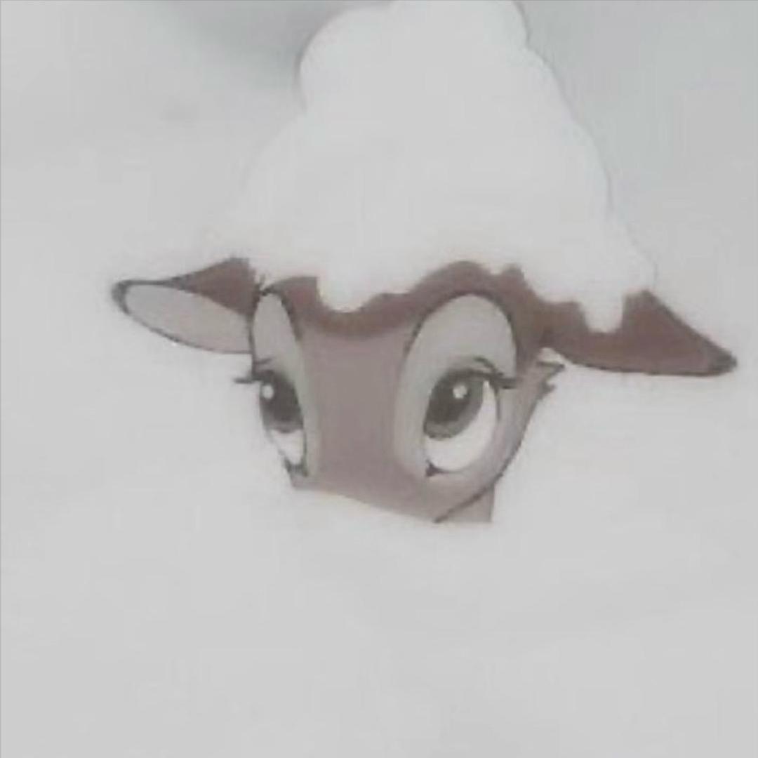 只只_oO