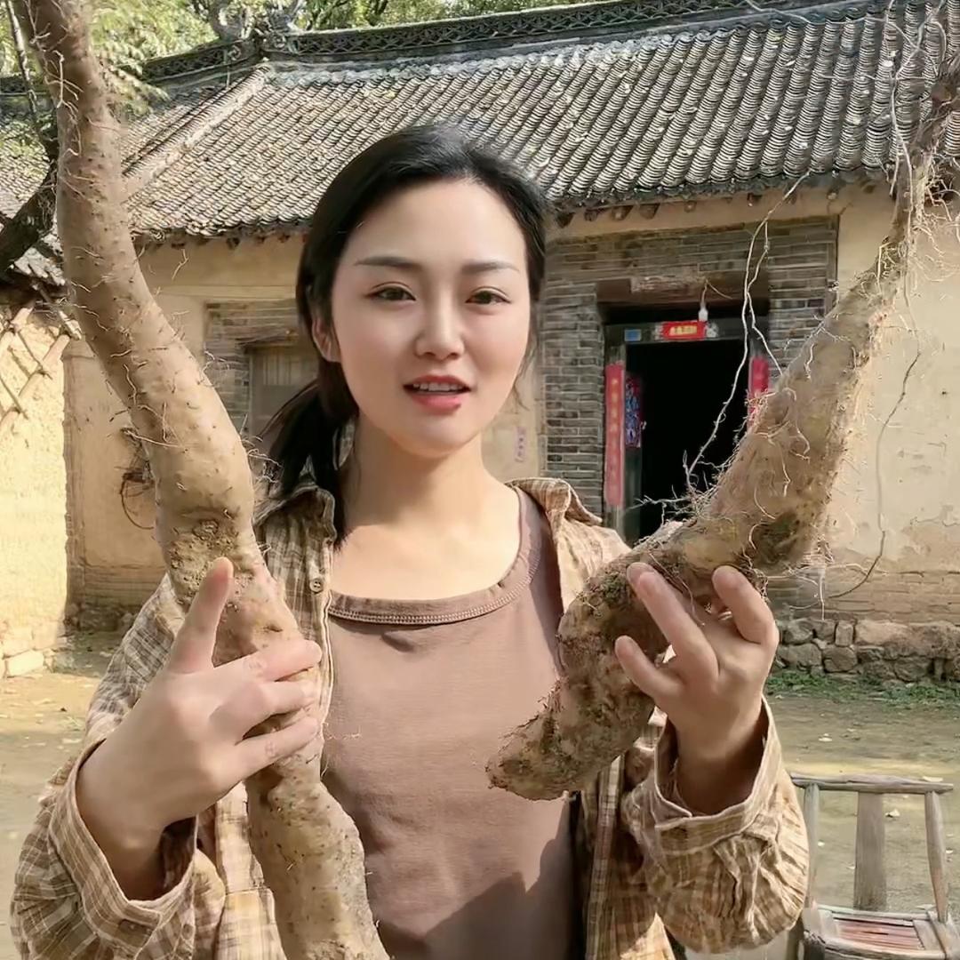王泡泡