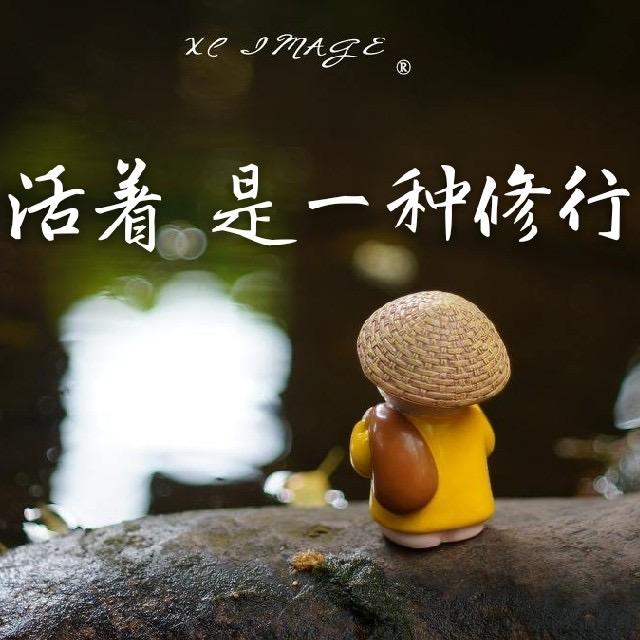 “智”在远方