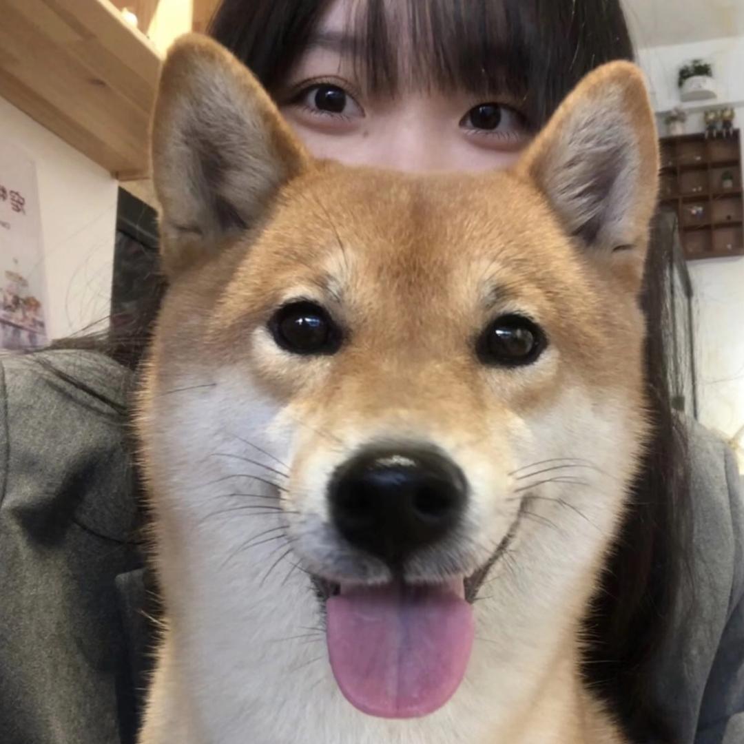 菠萝大王
