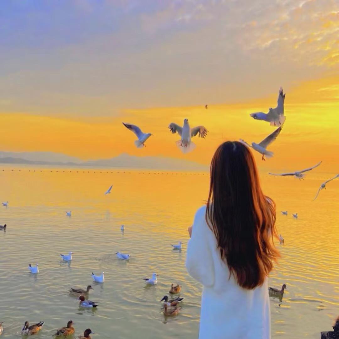 麦丽苏的百货屋