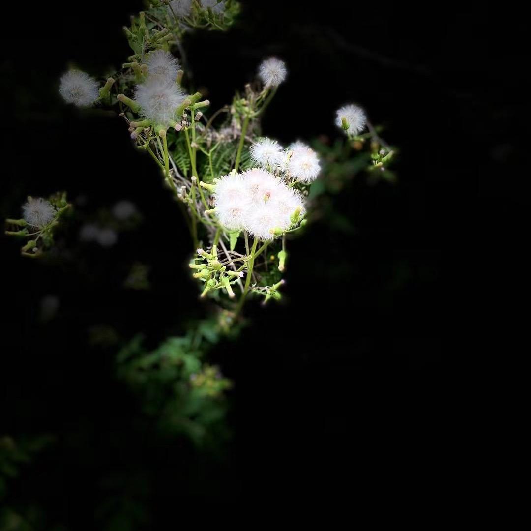 随意