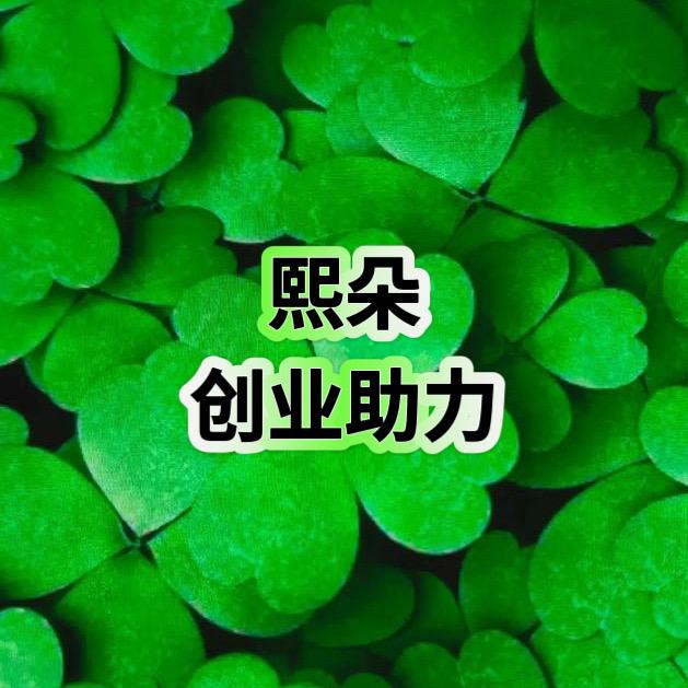 熙朵创业助力