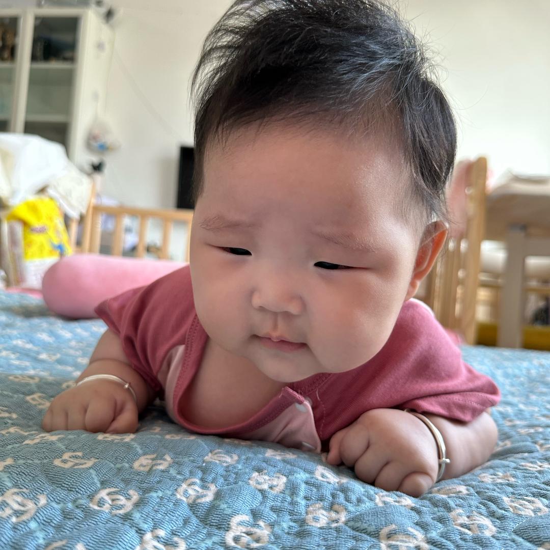 肉嘟嘟的宸宝🦄