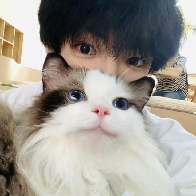 鲨鱼齿