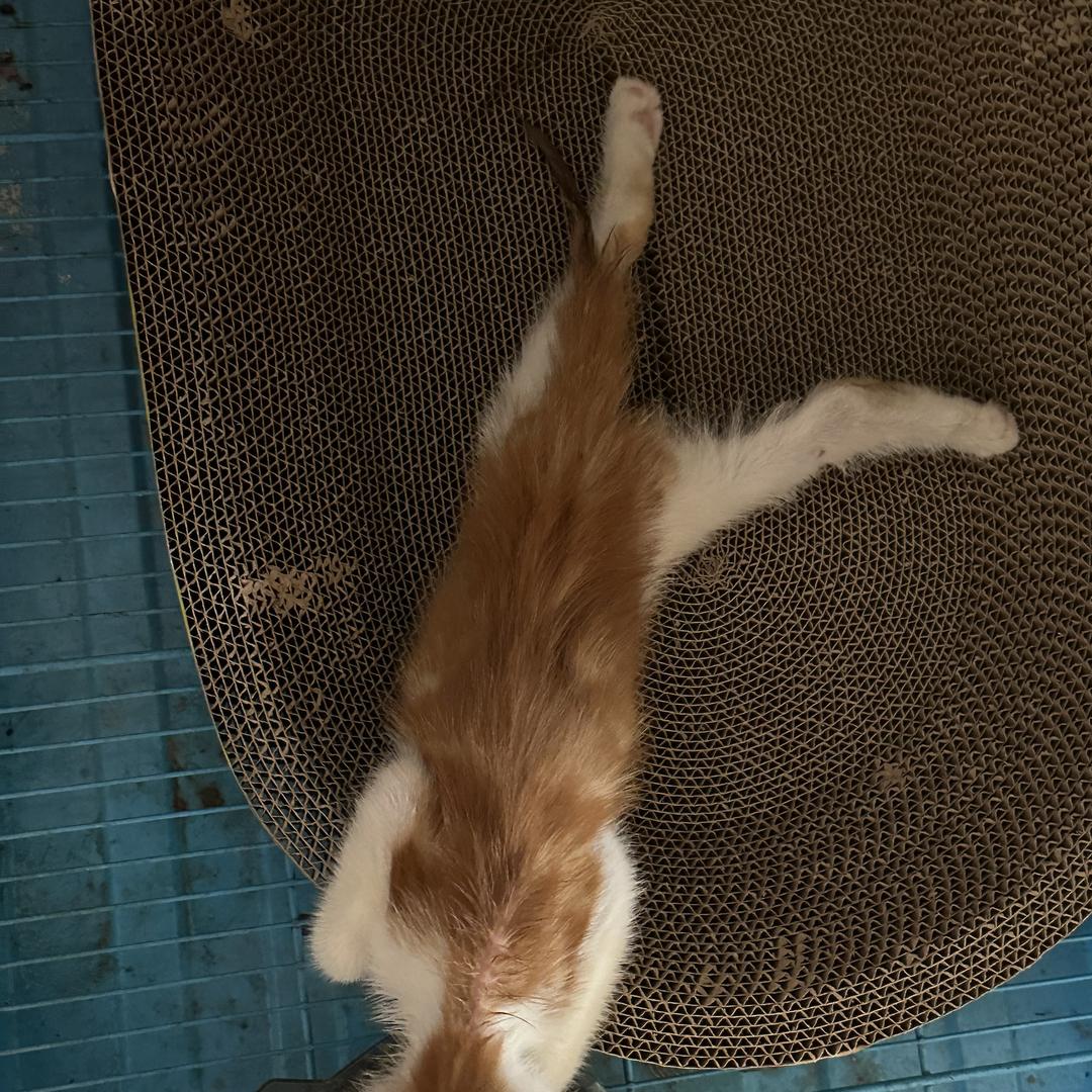 鑫盛经营部