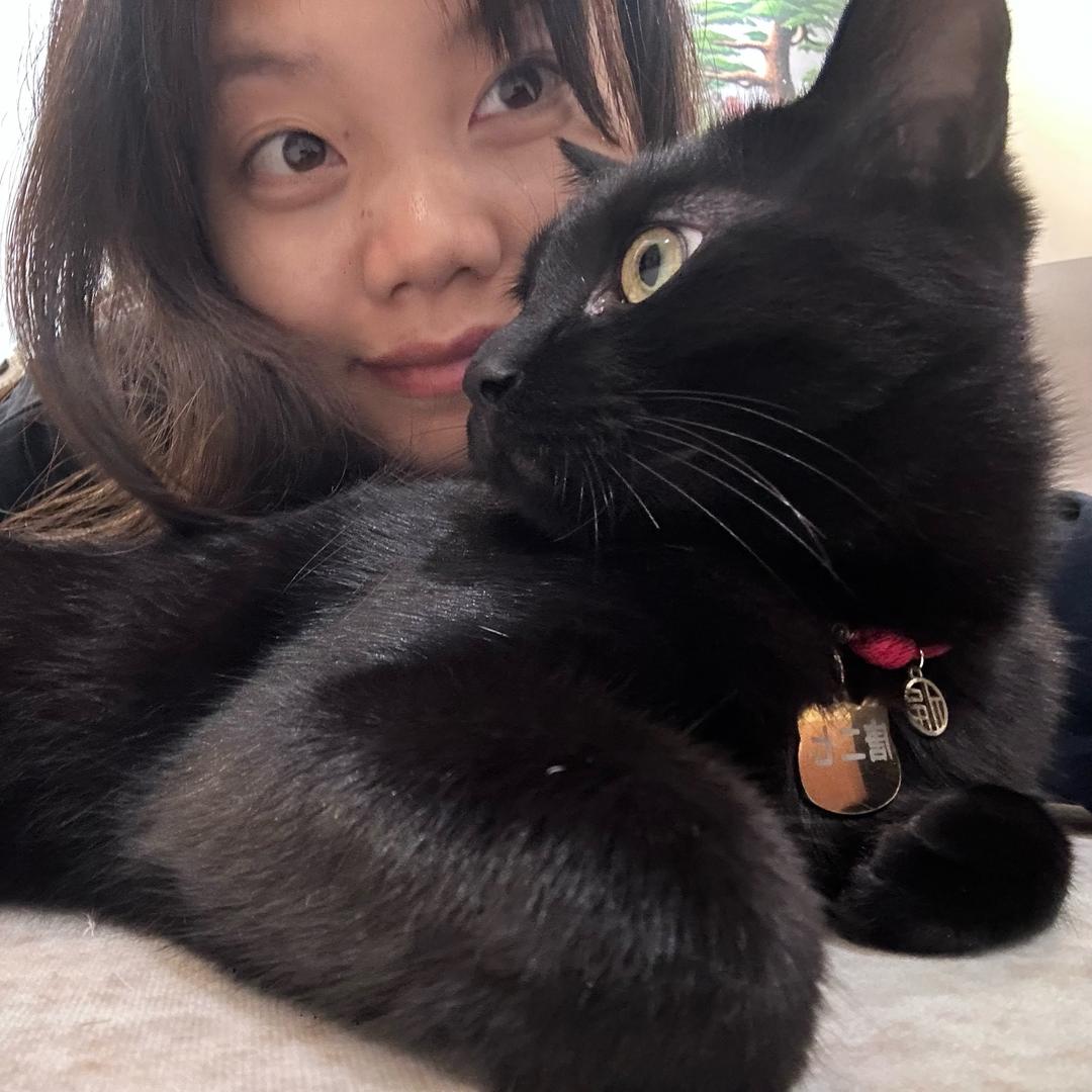 遂宁双虎搞装修的盼盼