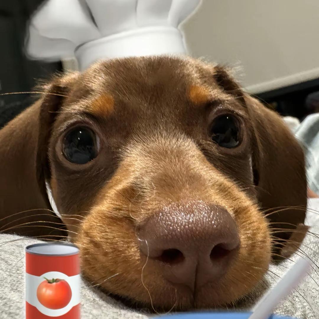 我才不要吃夜宵