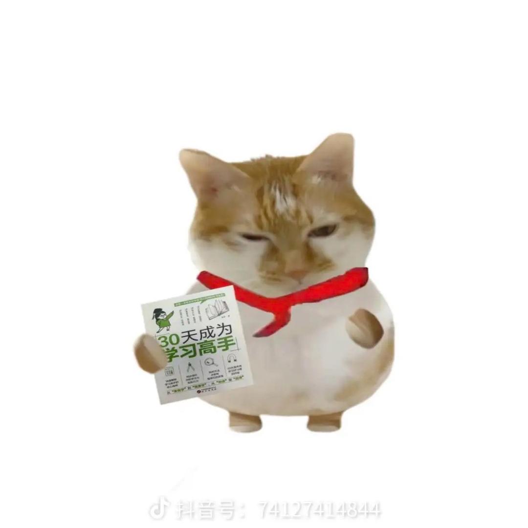 猫meme小鸭剧场