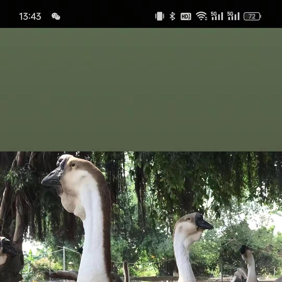 80858575738