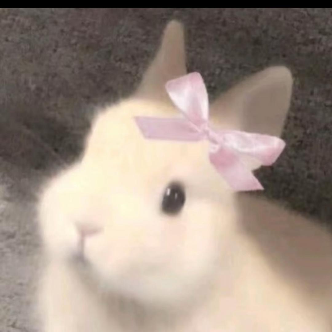 小蕾