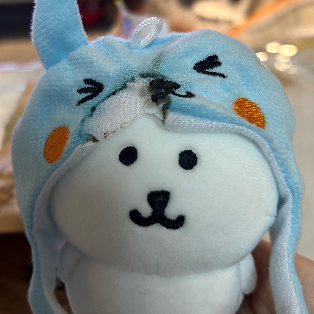 网络小鸡mo子
