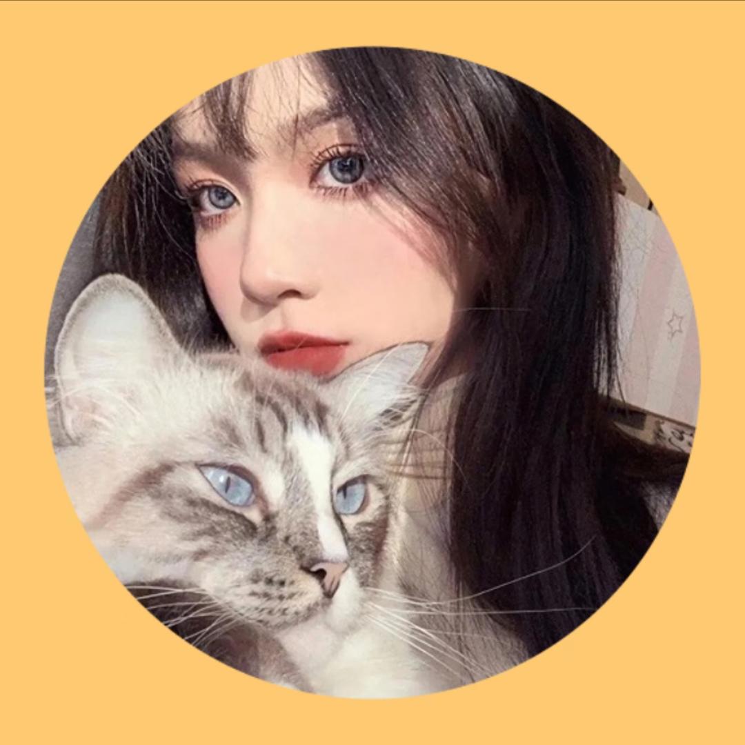 四喜丸子好物分享