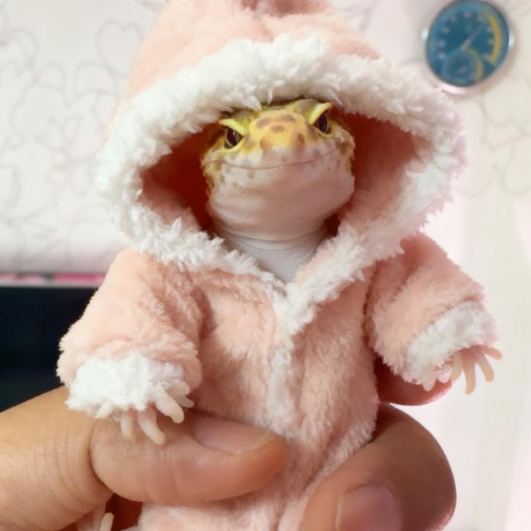凉茶挺好喝