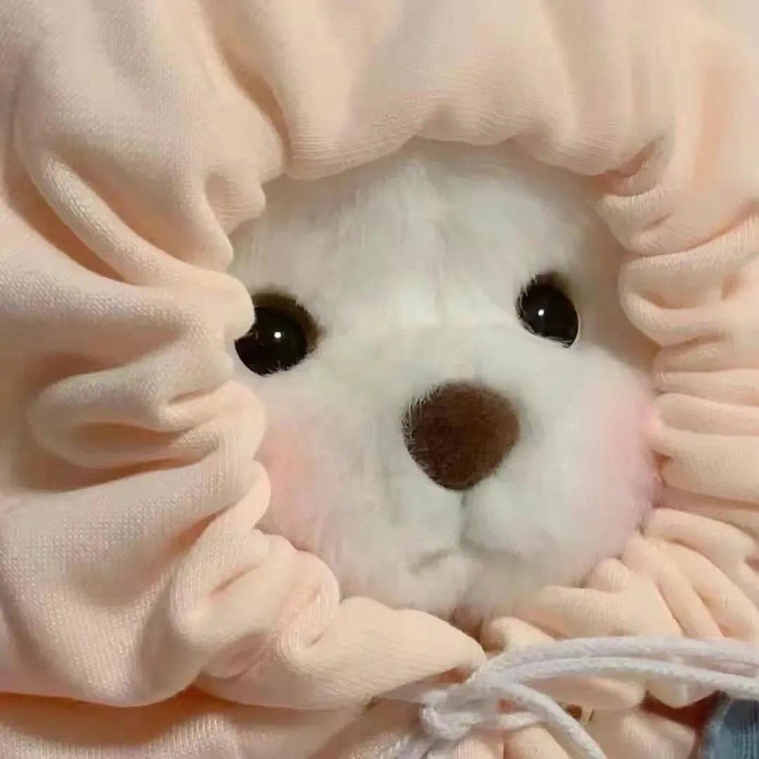 🐷ི་ྀ