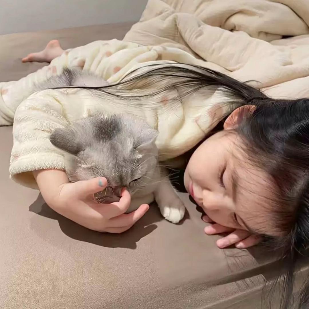 洲游 ㅤ