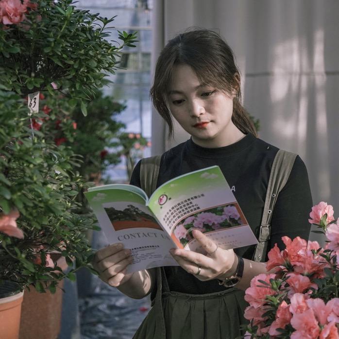 景最奇