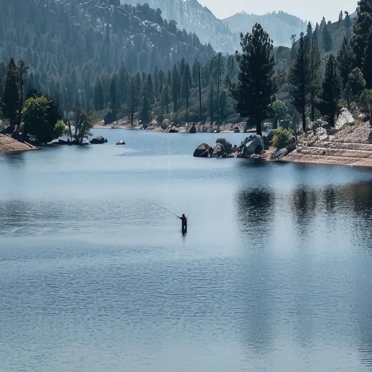 沉醉不知归路🎣