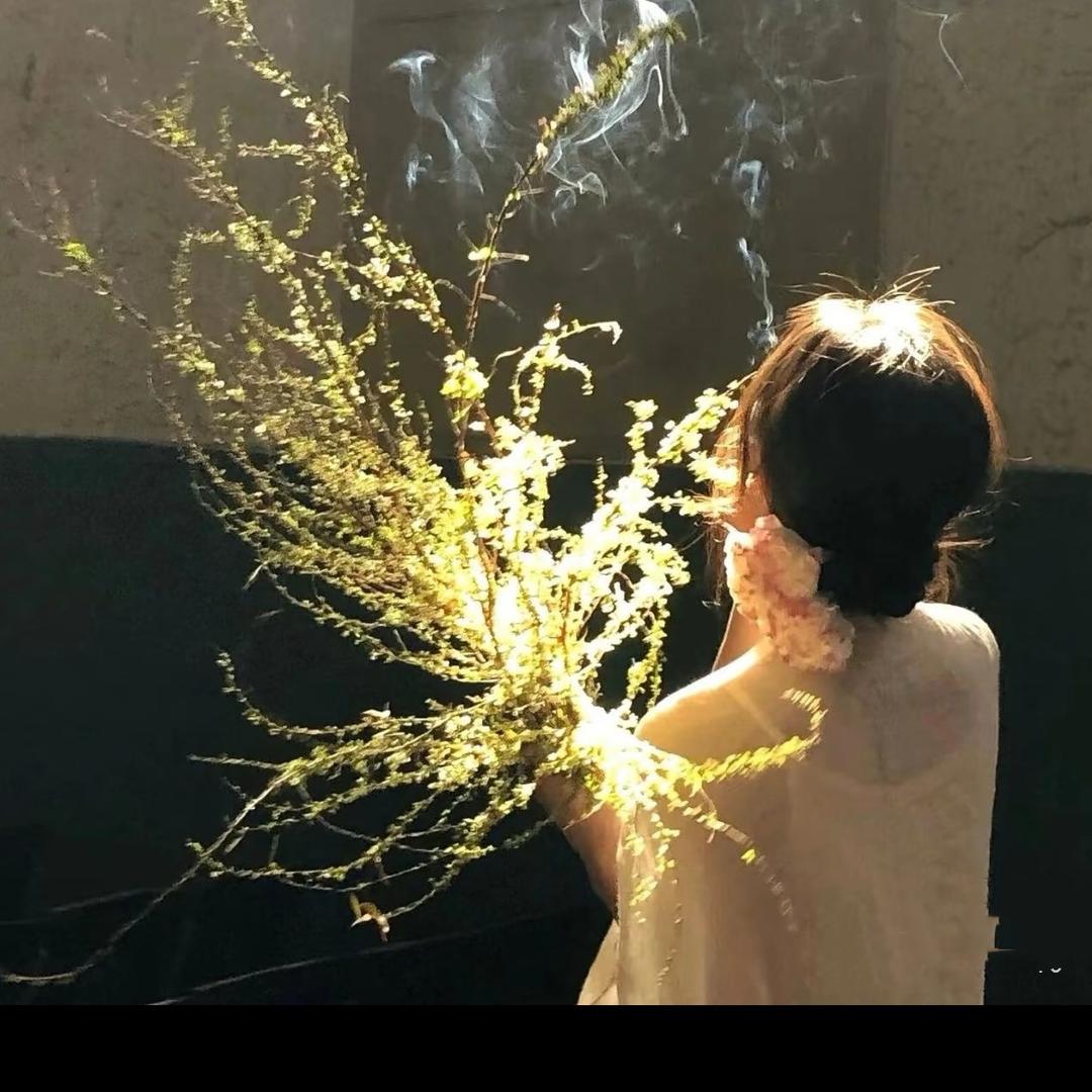 公主請發財🫧