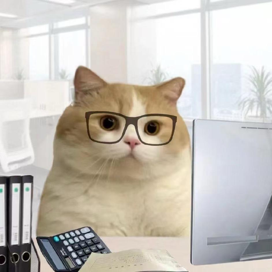 猫猫不是喵