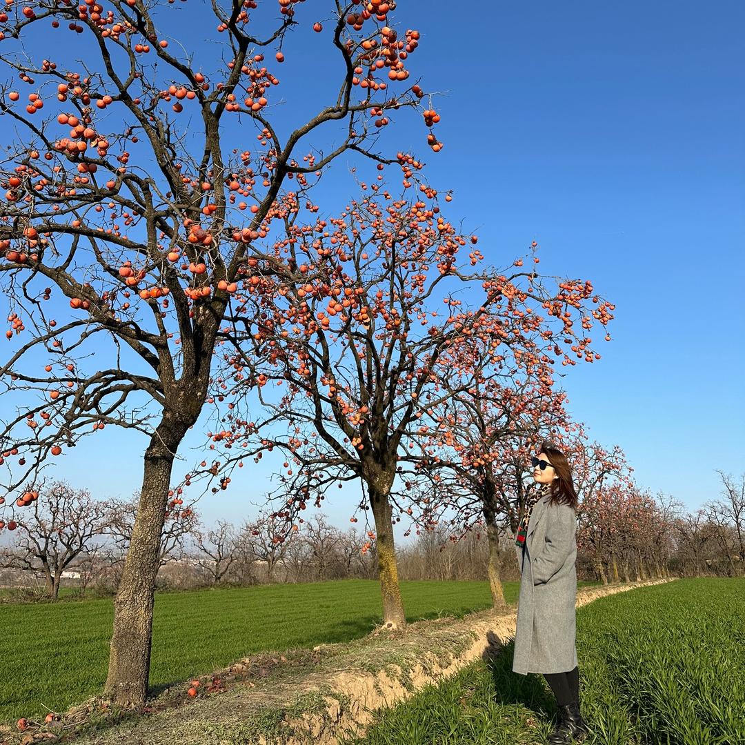 爱唱歌的兔子🐰