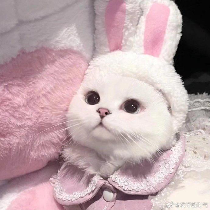 叫妈妈