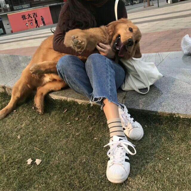 腿毛仙子🧚‍♀️