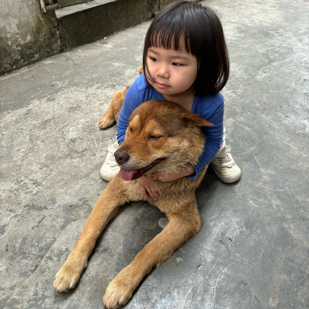 梁婉