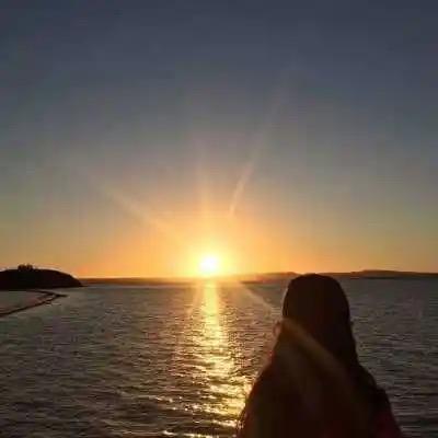 花屿花礼 全国可飞