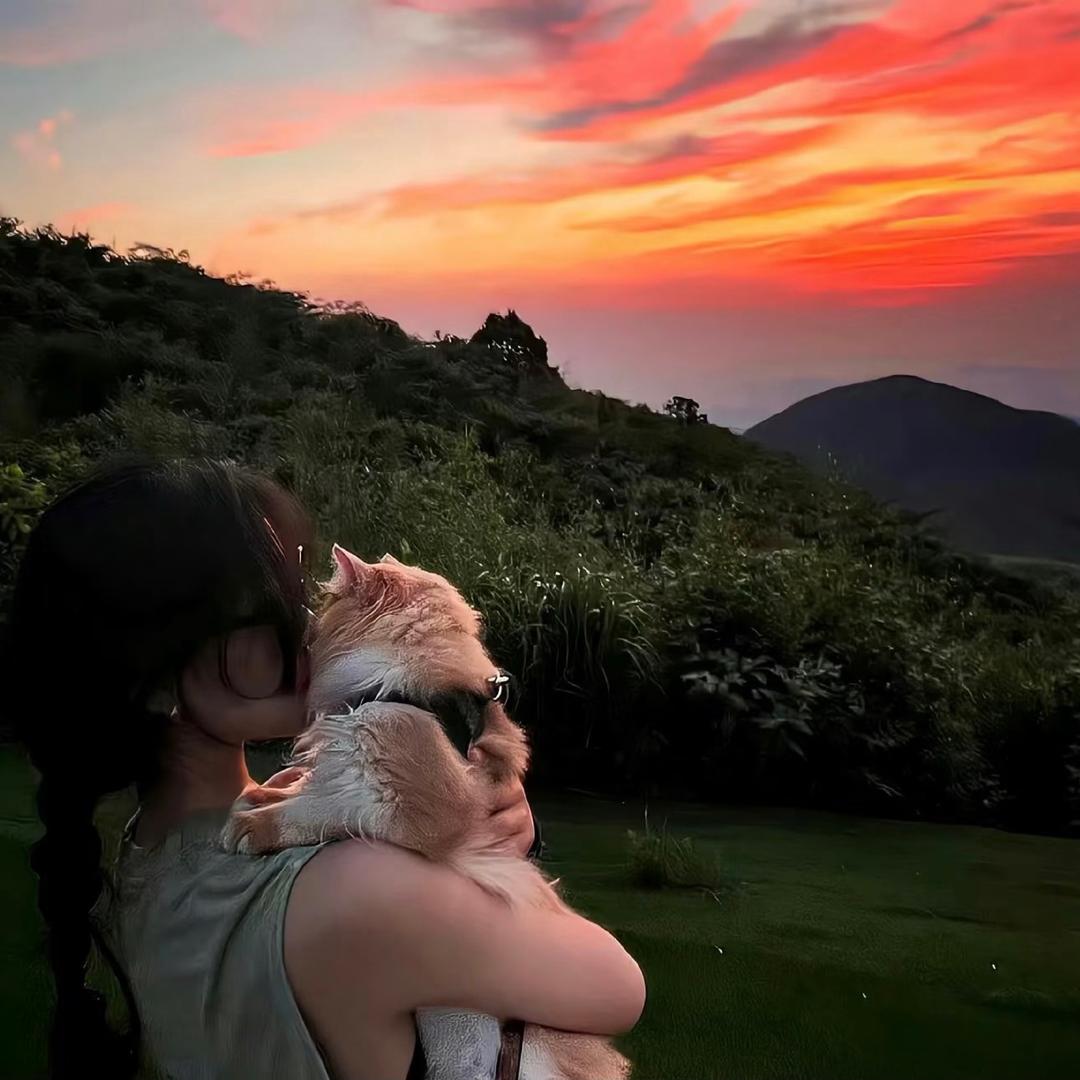 江阴十二兽订台私