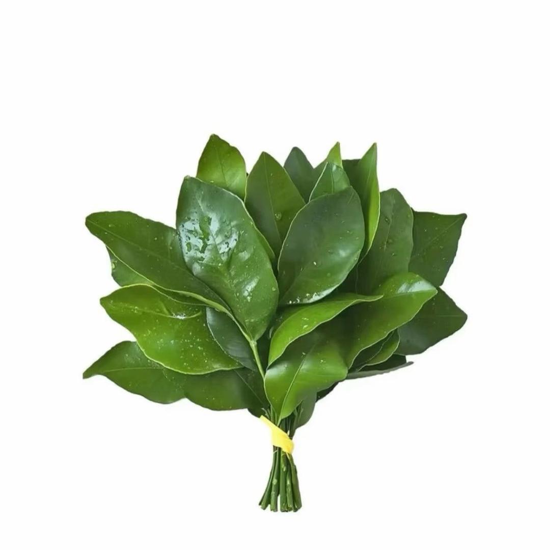 土豆超人饼（汇信财富中心版）
